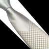 Pánska spoločenská kravata v strieborno - bielej farbe