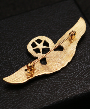 Prepracovaná pánska brošňa na šaty - armádne krídla v zlatej farbe