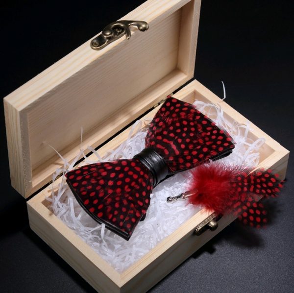 Luxusná sada - pánsky motýlik z vtáčích pierok a brošňa na šaty model_15